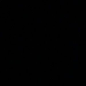 Meet your Posher, Preston